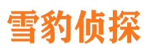 新县外遇调查取证